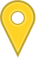 gold pin